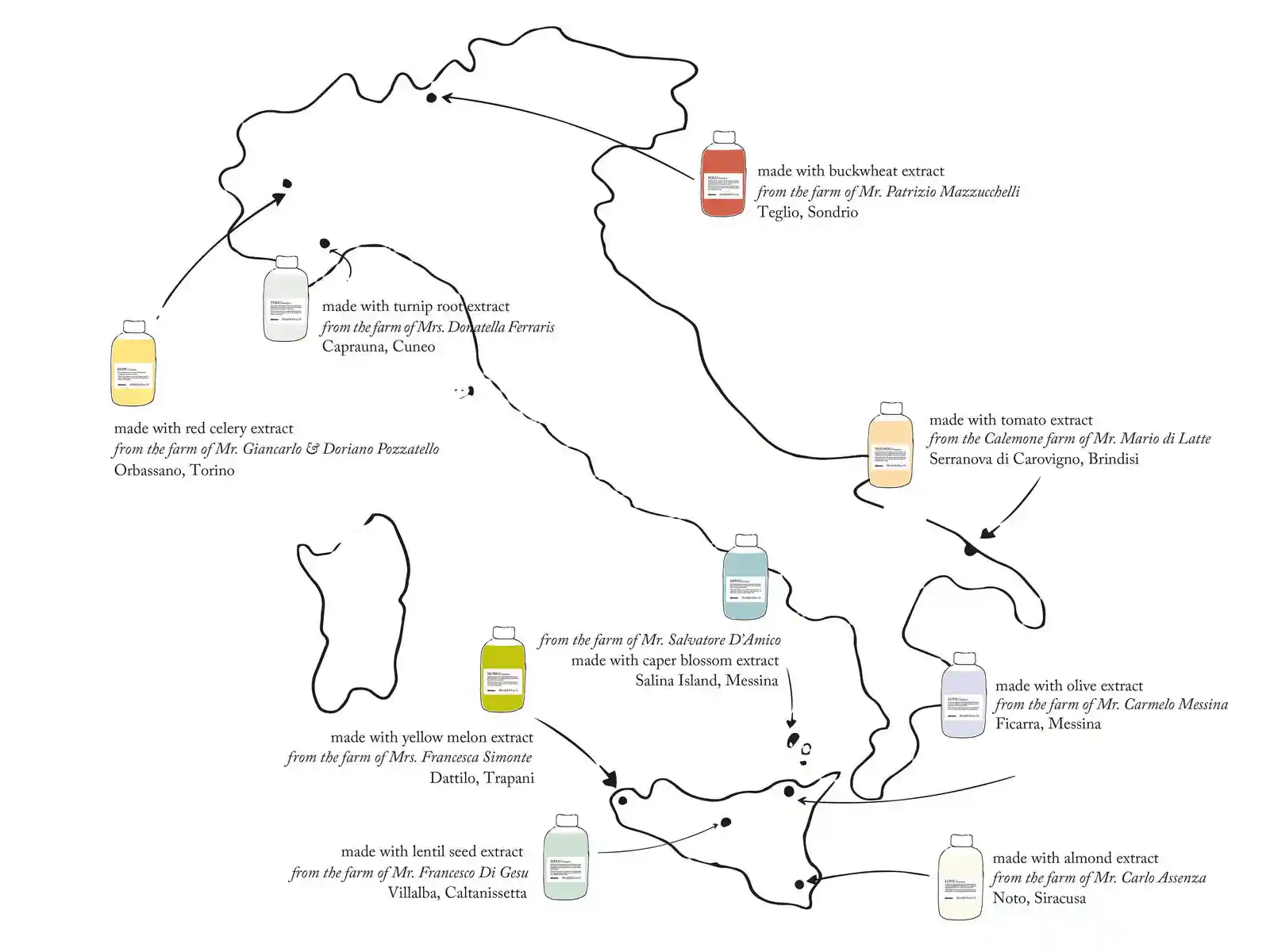 Organic botanical ingredients from Davines